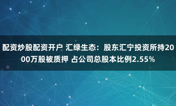 配资炒股配资开户 汇绿生态：股东汇宁投资所持2000万股被质押 占公司总股本比例2.55%