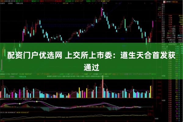 配资门户优选网 上交所上市委：道生天合首发获通过