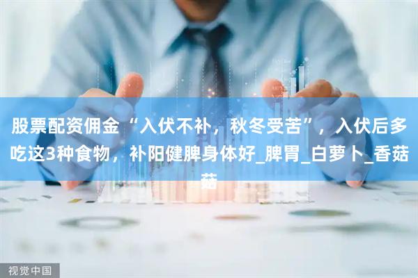 股票配资佣金 “入伏不补，秋冬受苦”，入伏后多吃这3种食物，补阳健脾身体好_脾胃_白萝卜_香菇